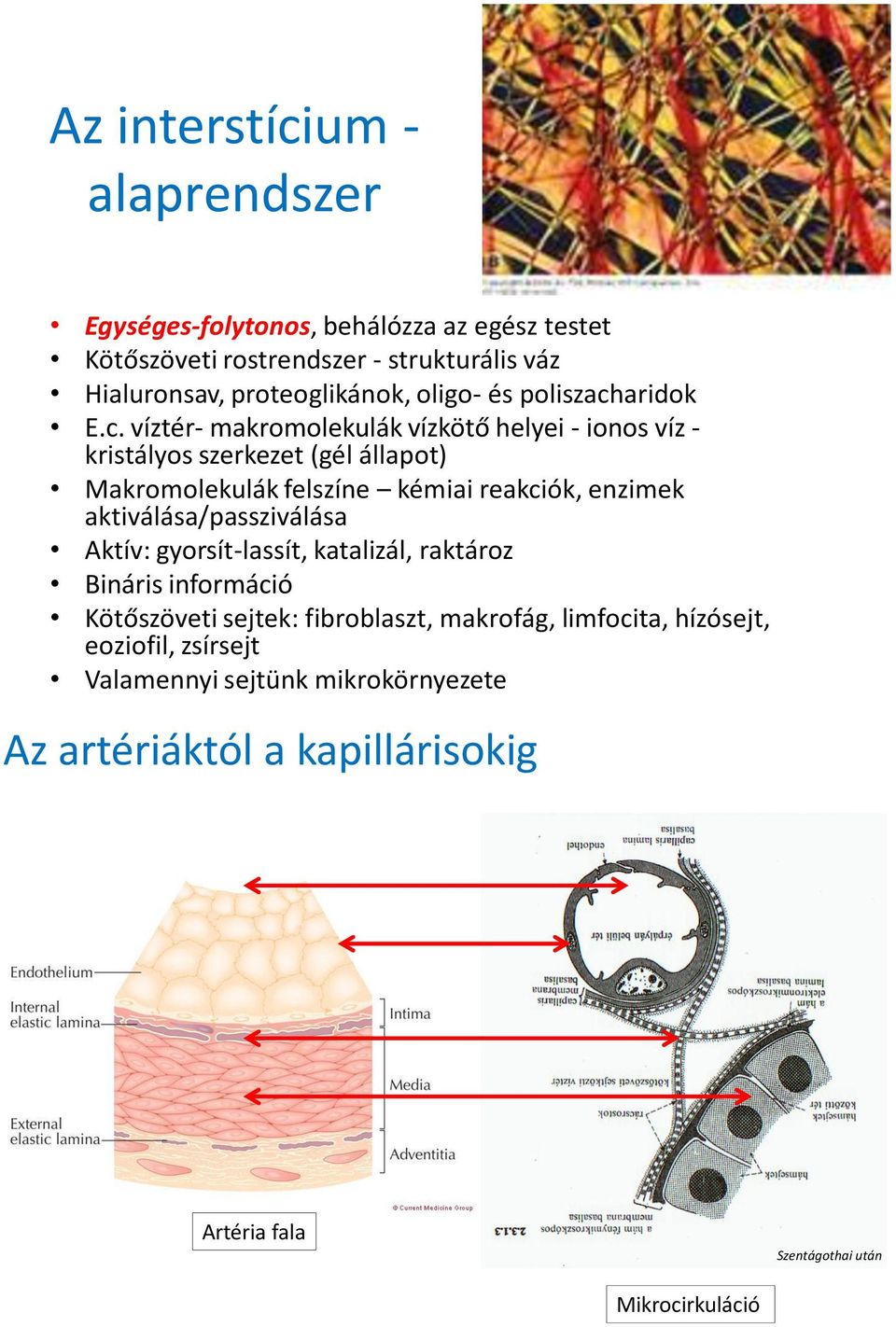 aridok E.c.