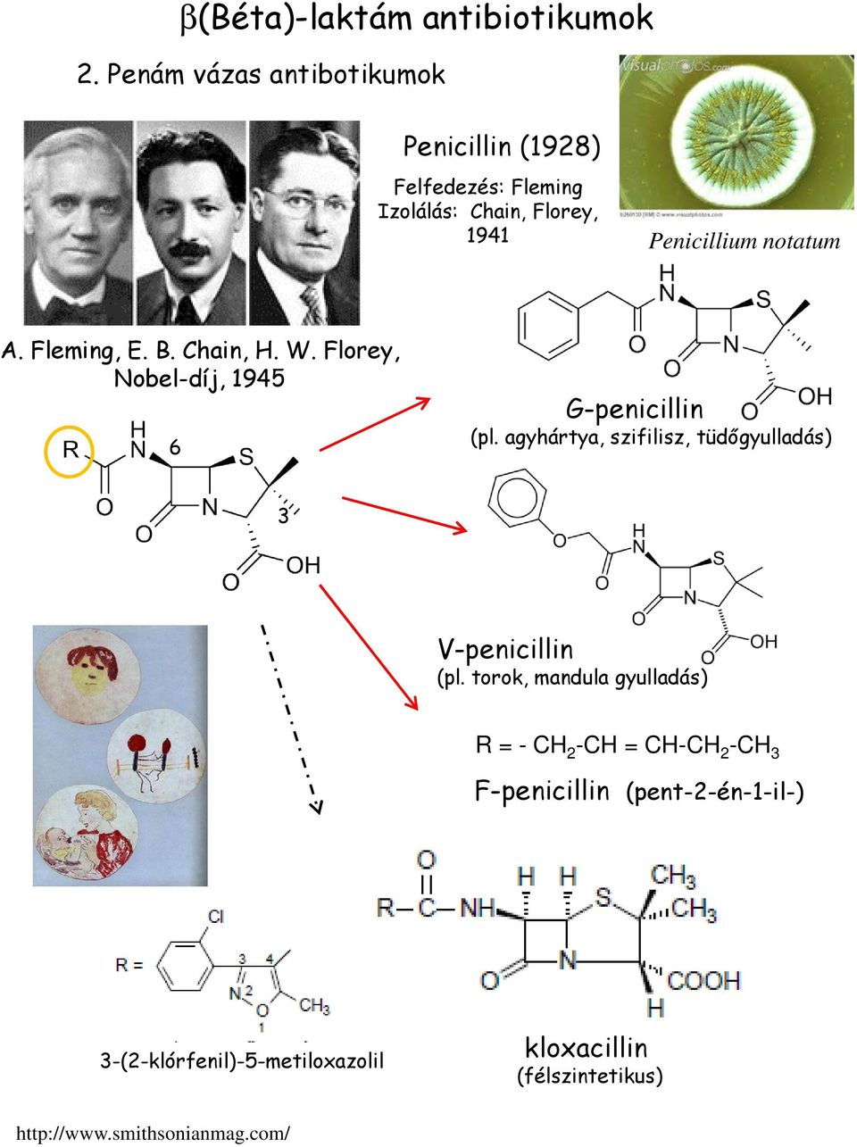 A. Fleming, E. B. Chain, H. W. Florey, Nobel-díj, 1945 6 G-penicillin (pl.