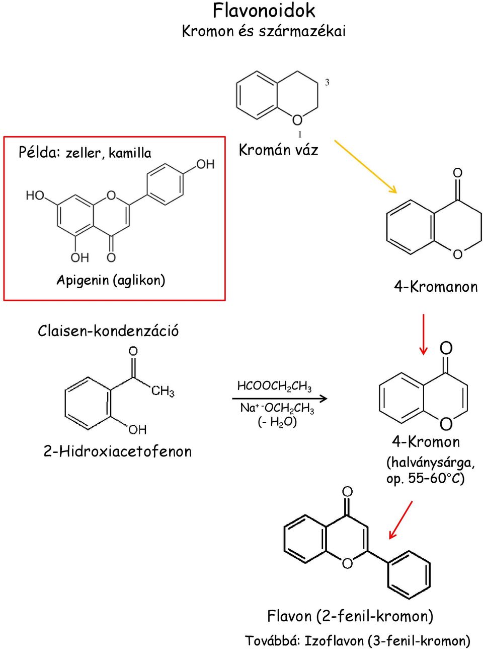 2-Hidroxiacetofenon Na + - OCH 2 CH 3 (- H 2 O) 4-Kromon
