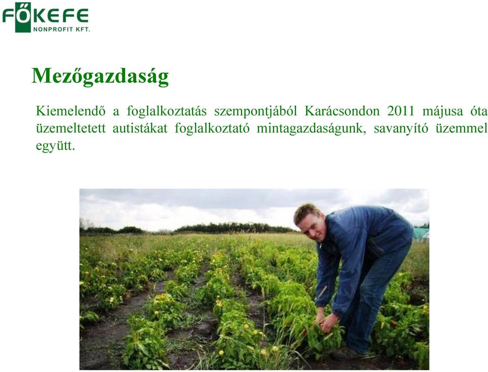 óta üzemeltetett autistákat