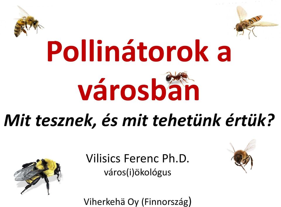 Vilisics Ferenc Ph.D.
