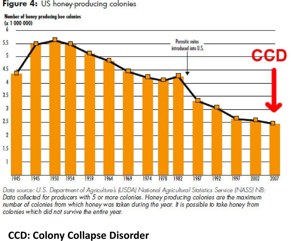 Collapse