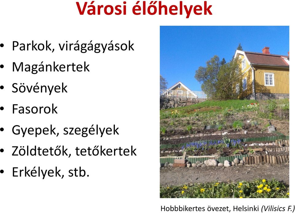 szegélyek Zöldtetők, tetőkertek Erkélyek,