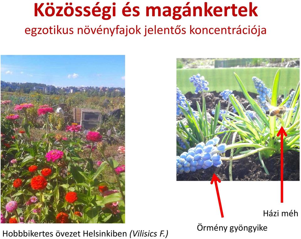 Hobbbikertes övezet Helsinkiben