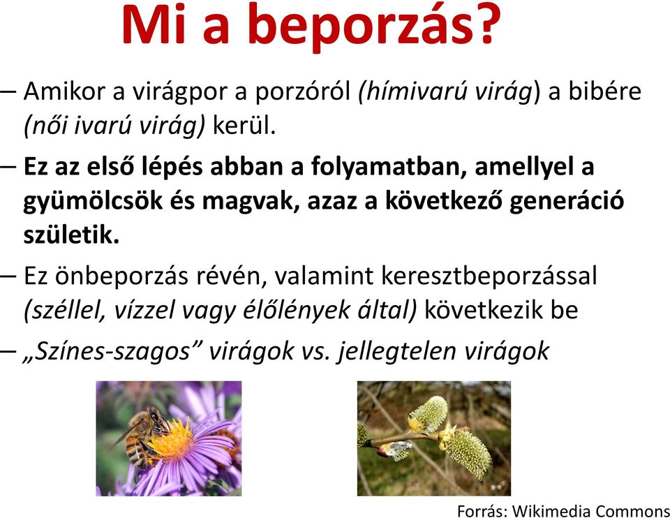 generáció születik.