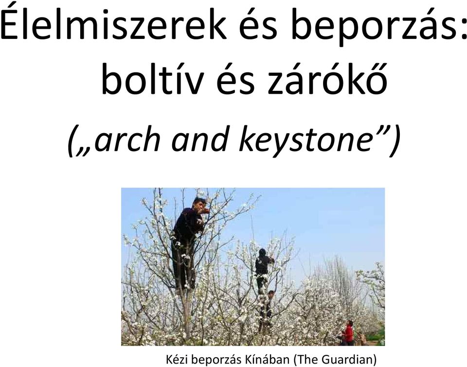 zárókő ( archand