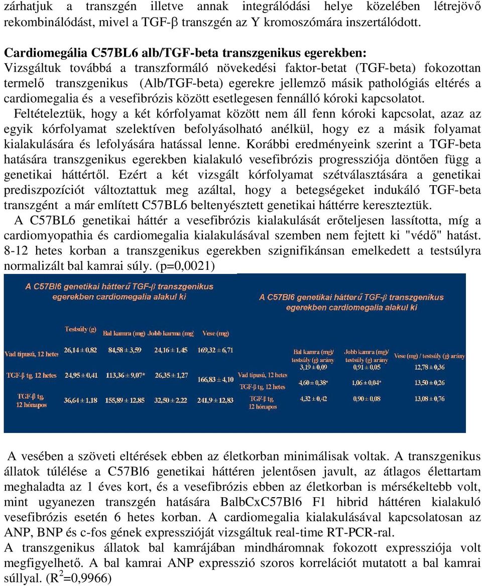 másik pathológiás eltérés a cardiomegalia és a vesefibrózis között esetlegesen fennálló kóroki kapcsolatot.