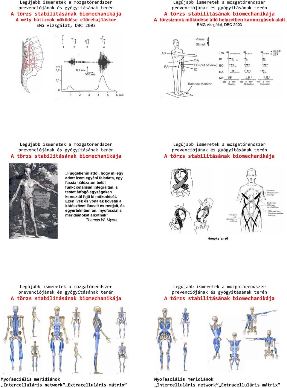 fejti ki működését. Ezen ívek és vonalak követik a kötőszövet láncait és rostjait, és egyértelműen ún. myofascialis meridiánokat alkotnak Thomas W.