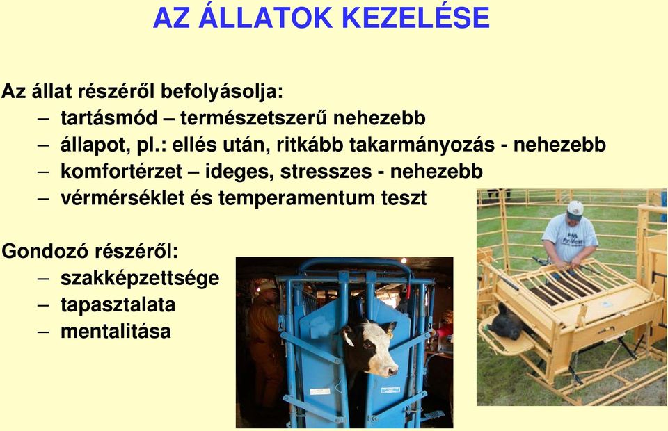 : ellés után, ritkább takarmányozás - nehezebb komfortérzet ideges,