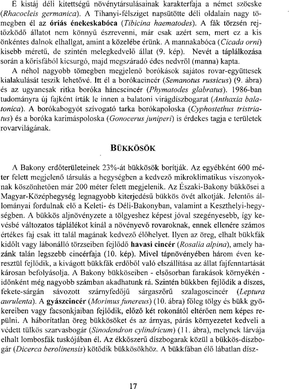 A fák törzsén rejtőzködő állatot nem könnyű észrevenni, már csak azért sem, mert ez a kis önkéntes dalnok elhallgat, amint a közelébe érünk.