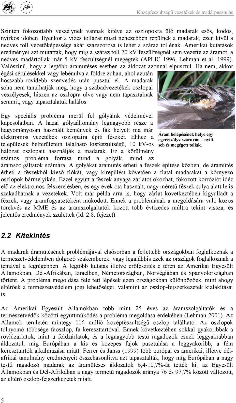 Amerikai kutatások eredményei azt mutatták, hogy míg a száraz toll 70 kv feszültségnél sem vezette az áramot, a nedves madártollak már 5 kv feszültségnél megégtek (APLIC 1996, Lehman et al. 1999).