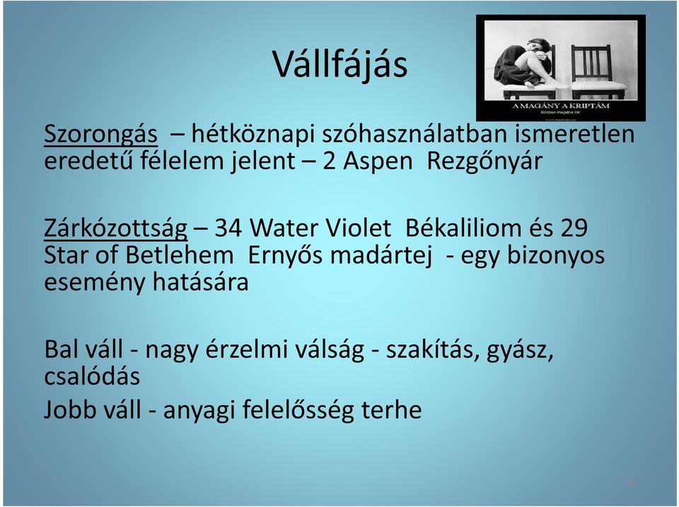 of Betlehem Ernyős madártej - egy bizonyos esemény hatására Bal váll - nagy