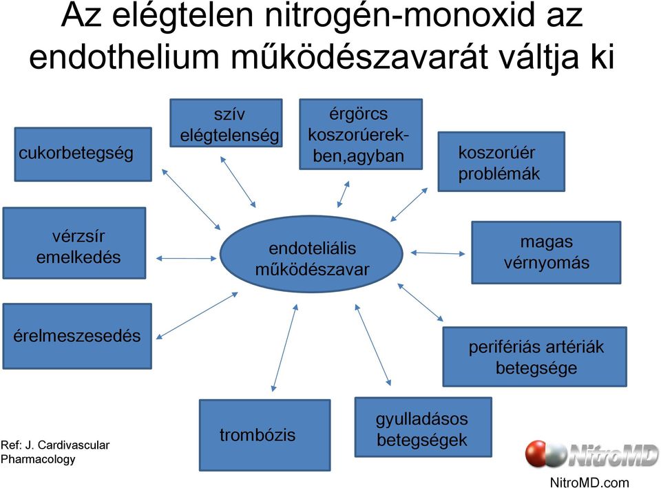 nitrogén-monoxid és magas vérnyomás
