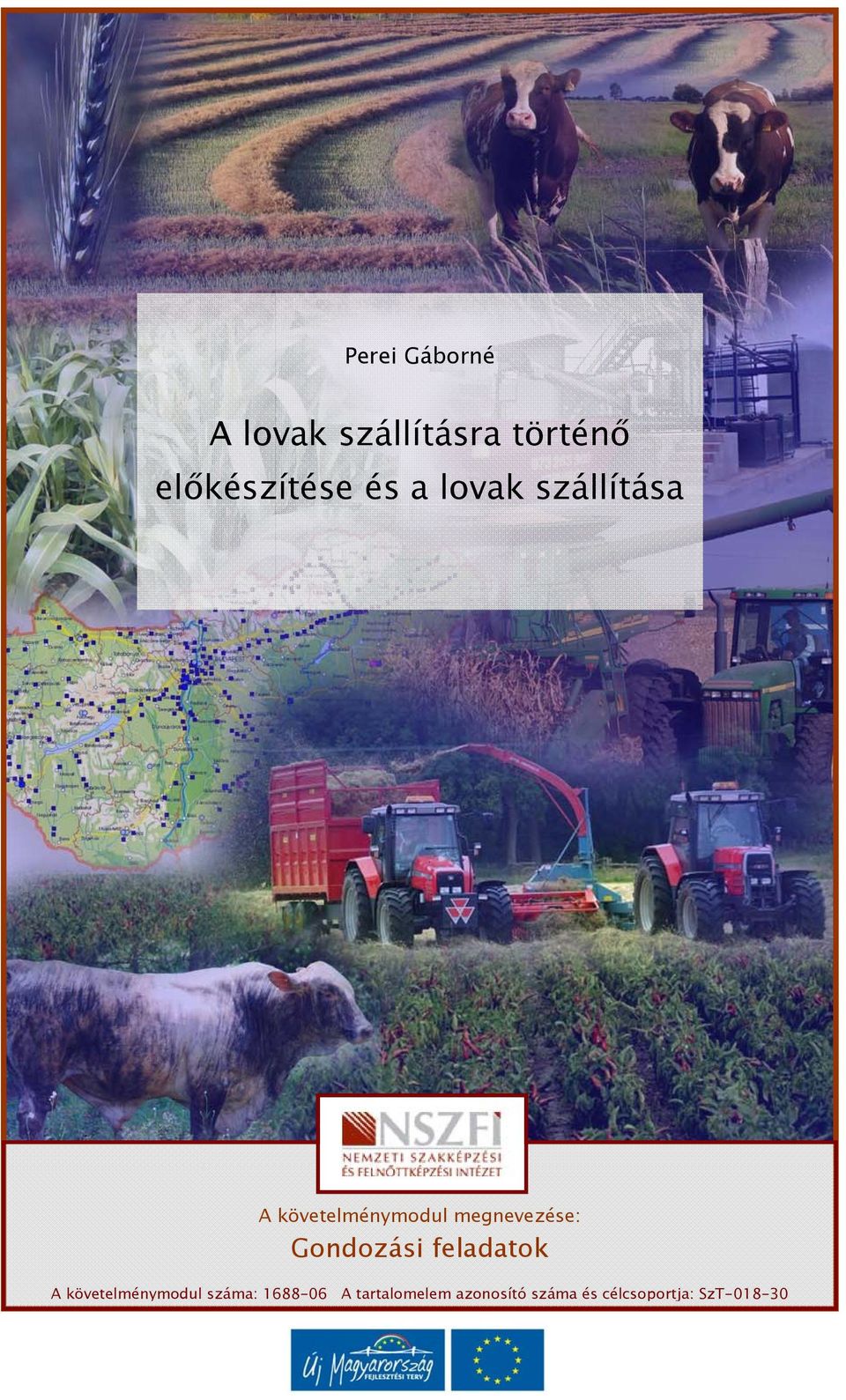 Gondozási feladatok A követelménymodul száma: 1688-06 A