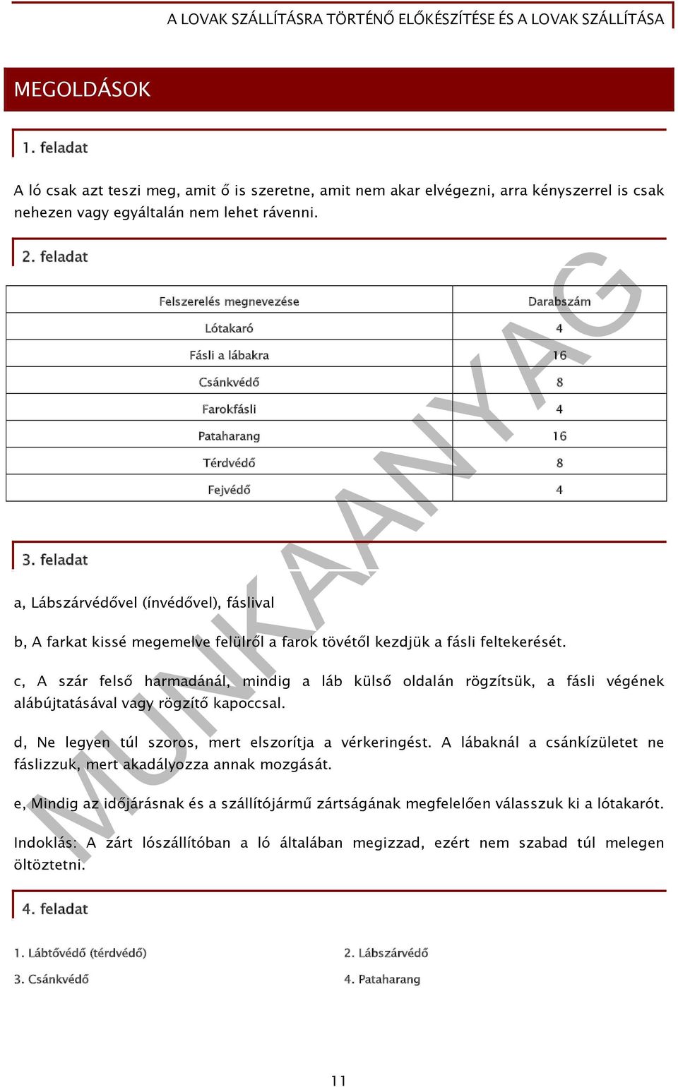 felülről a farok tövétől kezdjük a fásli feltekerését. c, A szár felső harmadánál, mindig a láb külső oldalán rögzítsük, a fásli végének alábújtatásával vagy rögzítő kapoccsal.