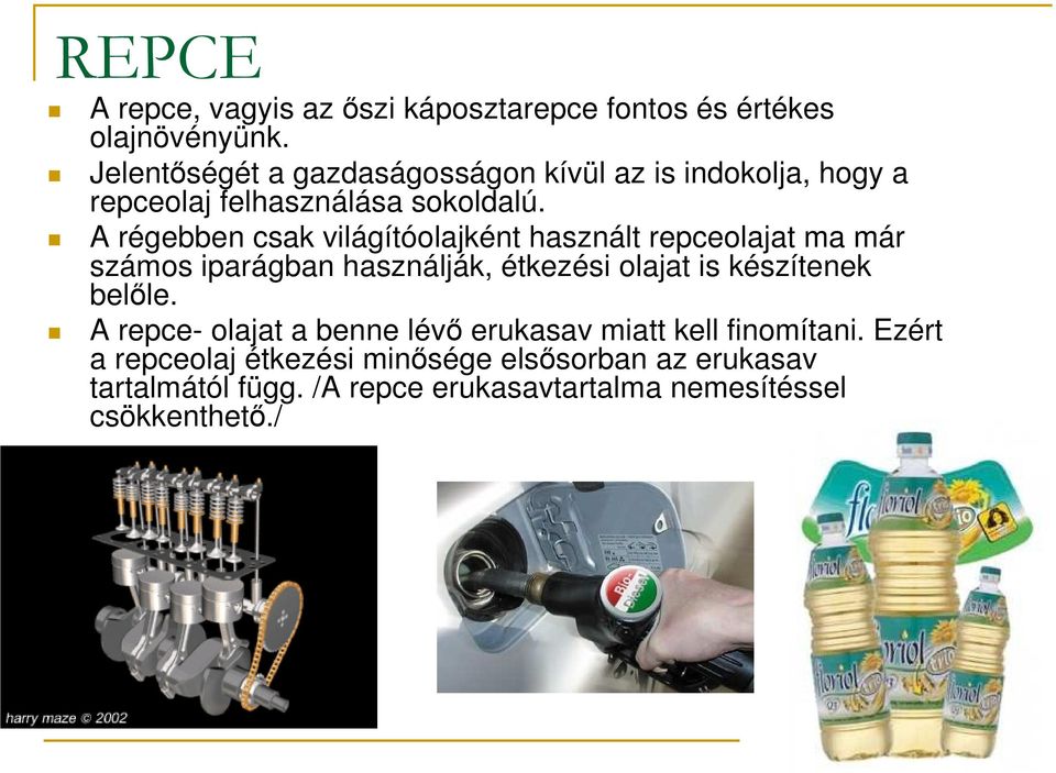 A régebben csak világítóolajként használt repceolajat ma már számos iparágban használják, étkezési olajat is készítenek