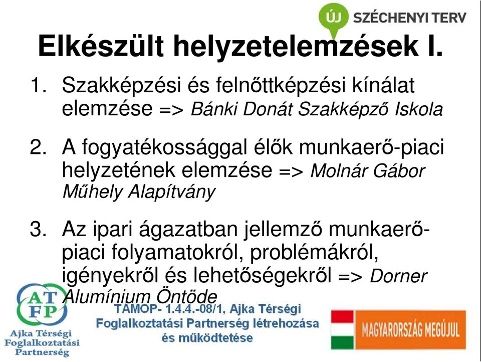 A fogyatékossággal élık munkaerı-piaci helyzetének elemzése => Molnár Gábor Mőhely