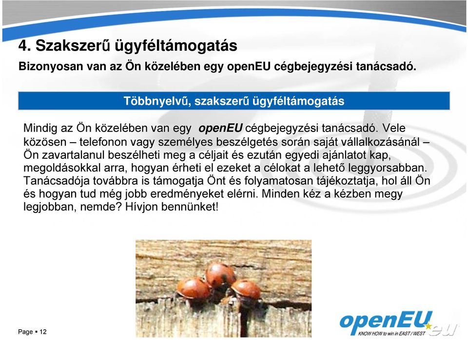 Vele közösen telefonon vagy személyes beszélgetés során saját vállalkozásánál Ön zavartalanul beszélheti meg a céljait és ezután egyedi ajánlatot kap,