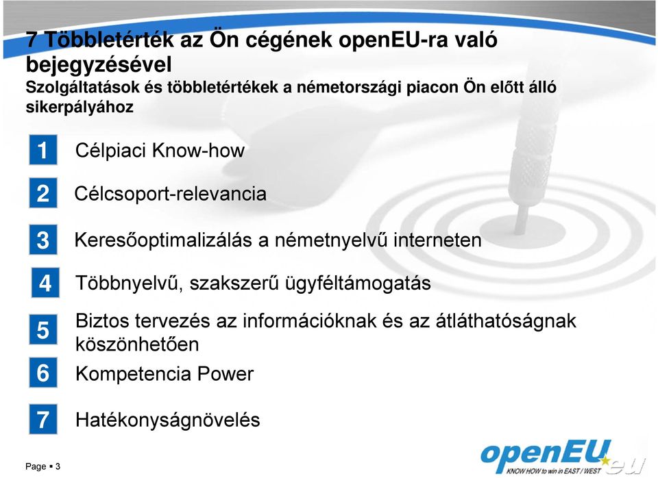 Célcsoport-relevancia Keresőoptimalizálás a németnyelvű interneten Többnyelvű, szakszerű