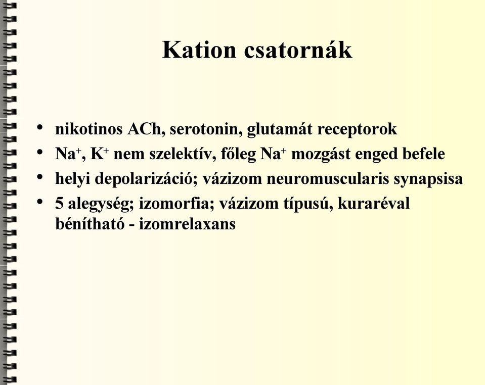 befele helyi depolarizáció; vázizom neuromuscularis synapsisa