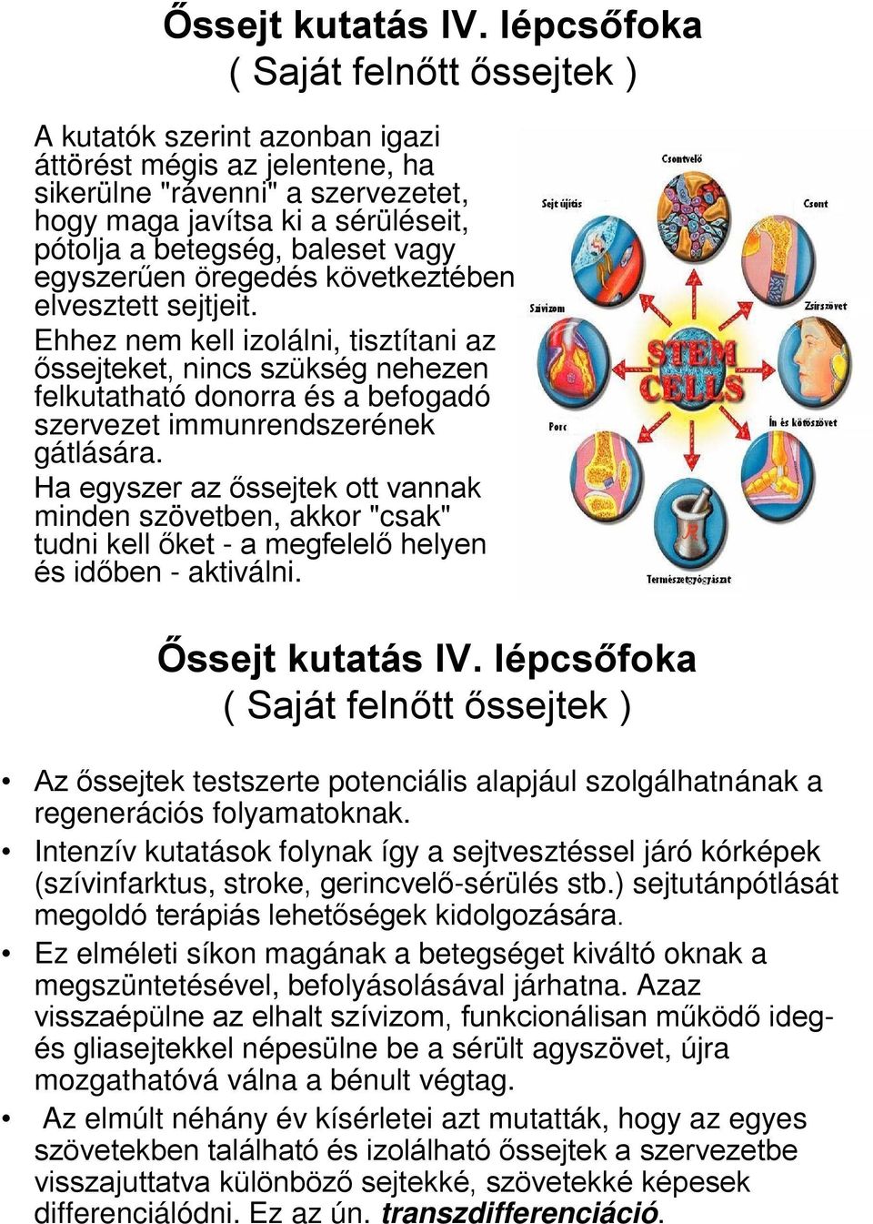 vagy egyszerűen öregedés következtében elvesztett sejtjeit.
