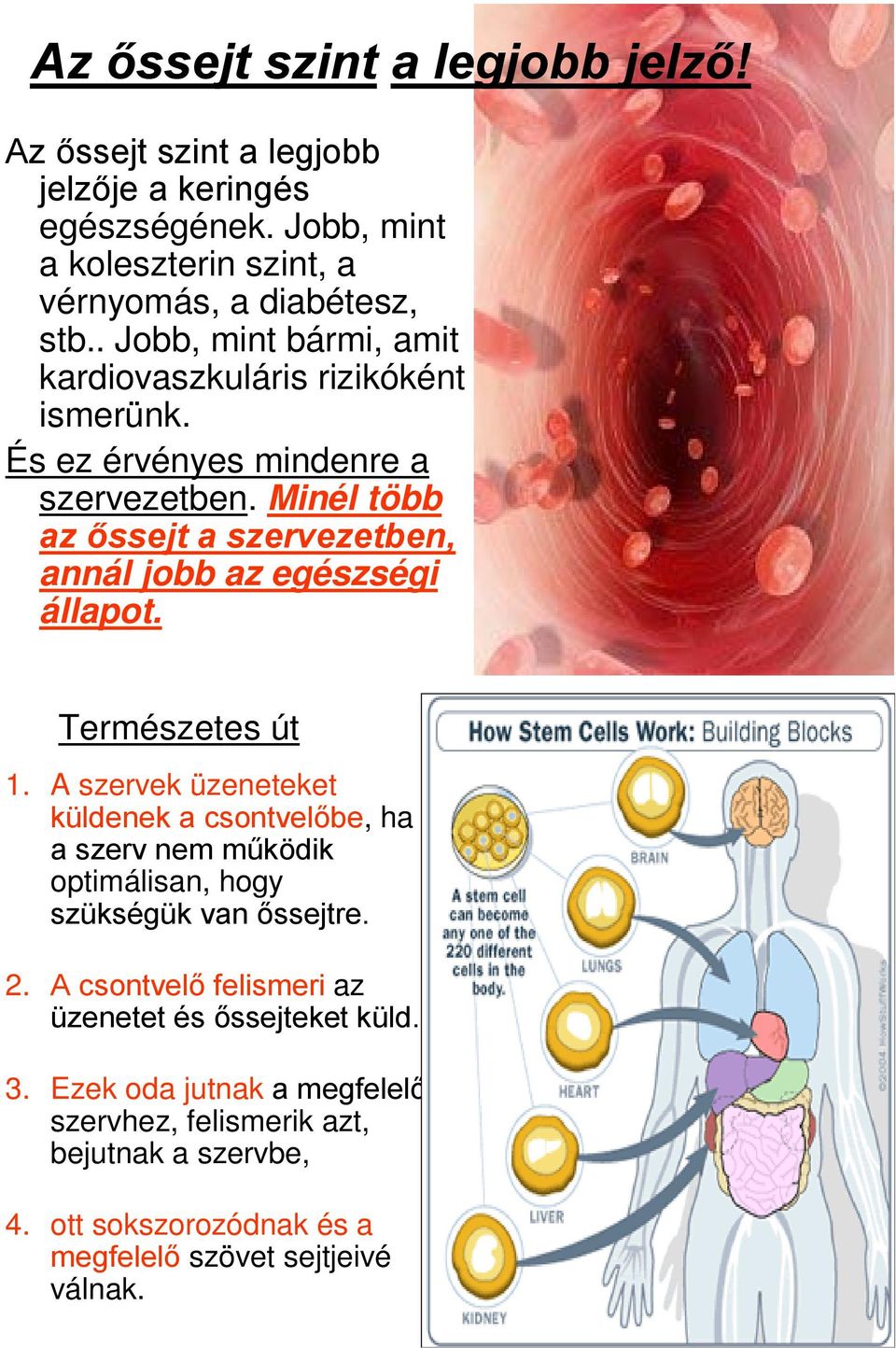 a cukorbetegség 1 típusa őssejtek)