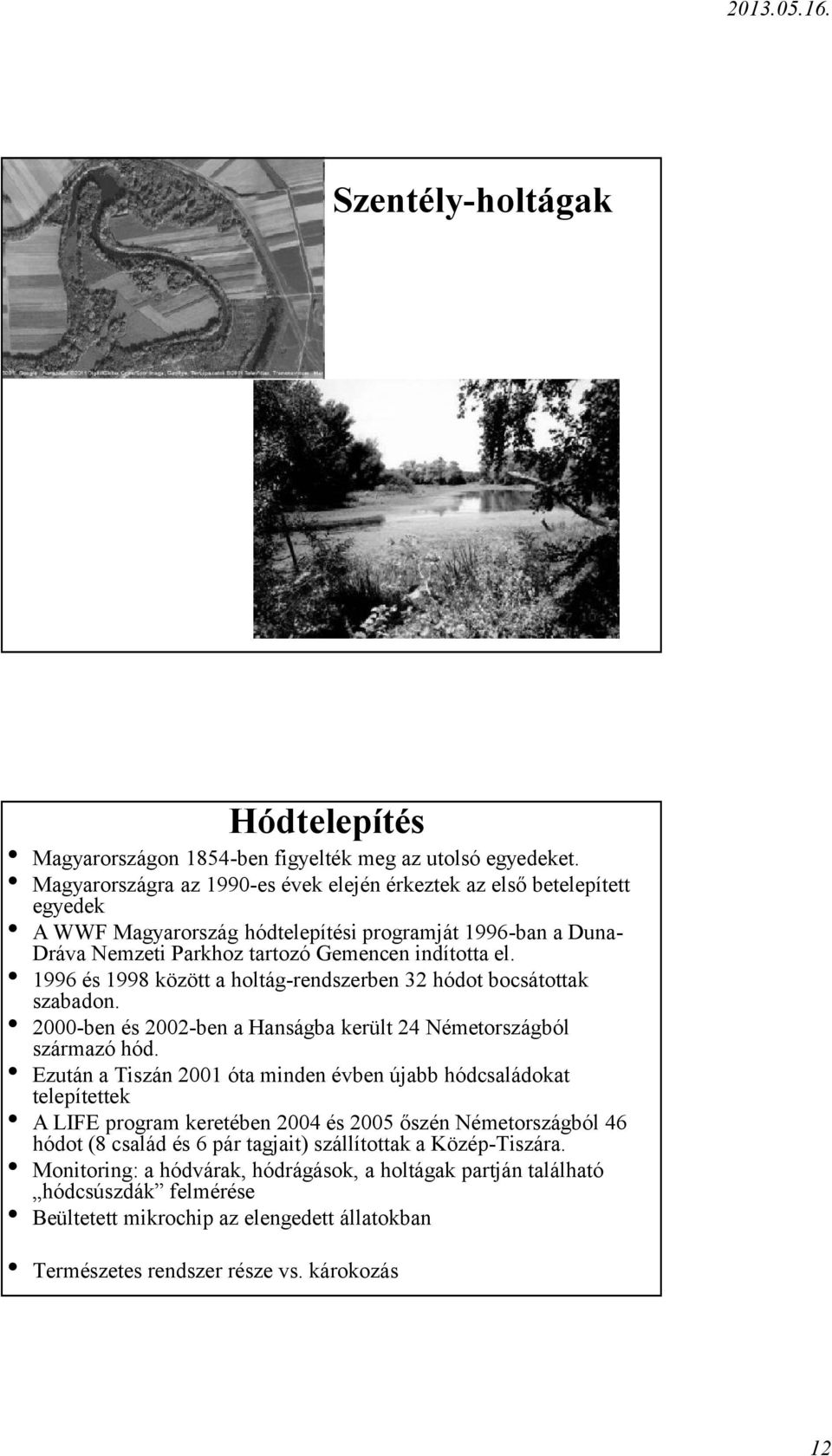 1996 és 1998 között a holtág rendszerben 32 hódot bocsátottak szabadon. 2000 ben és 2002 ben a Hanságba került 24 Németországból származó hód.