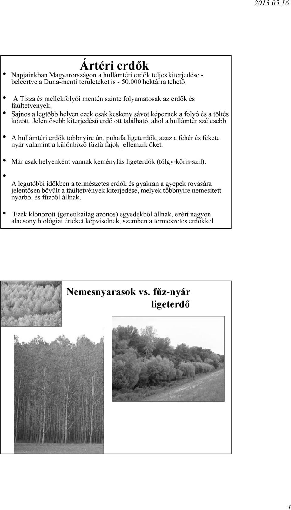Jelentősebb kiterjedésű erdő ott található, ahol a hullámtér szélesebb. A hullámtéri erdők többnyire ún. puhafa ligeterdők, azaz a fehér és fekete nyár valamint a különböző fűzfa fajok jellemzik őket.
