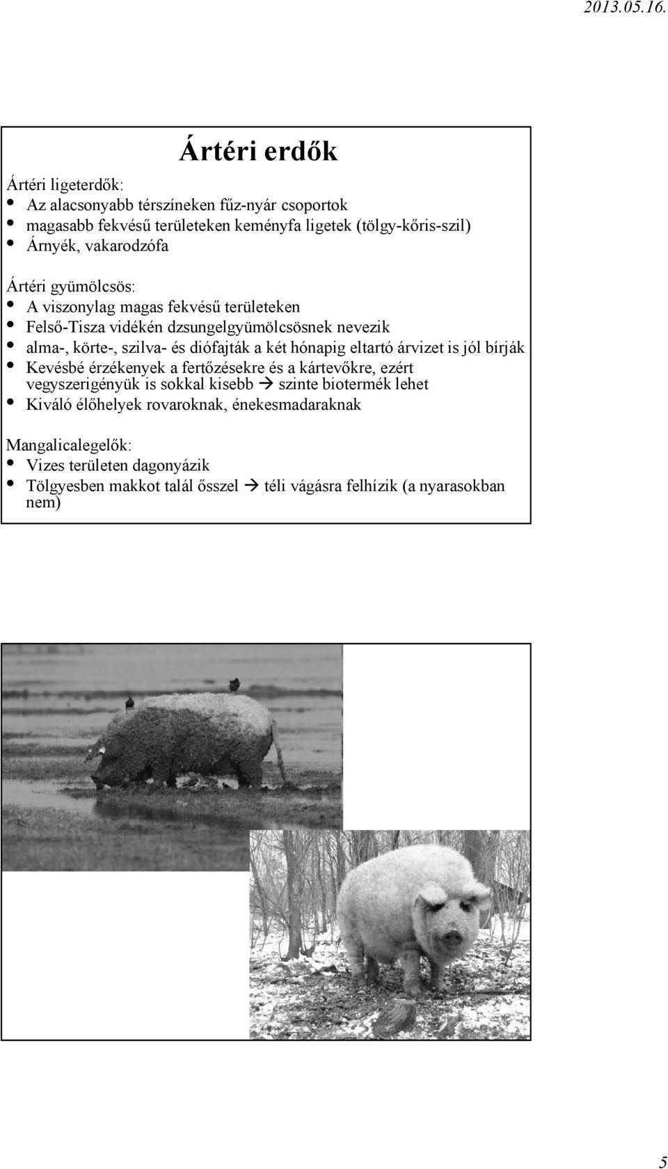 két hónapig eltartó árvizet is jól bírják Kevésbé érzékenyek a fertőzésekre és a kártevőkre, ezért vegyszerigényük is sokkal kisebb szinte biotermék lehet