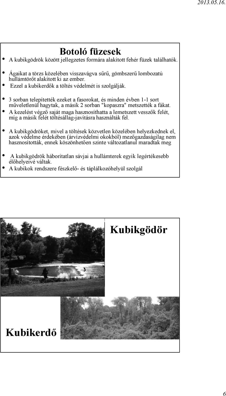 A kezelést végző saját maga hasznosíthatta a lemetszett vesszők felét, míg a másik felét töltésállag javításra használták fel.