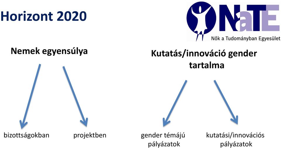 bizottságokban projektben gender