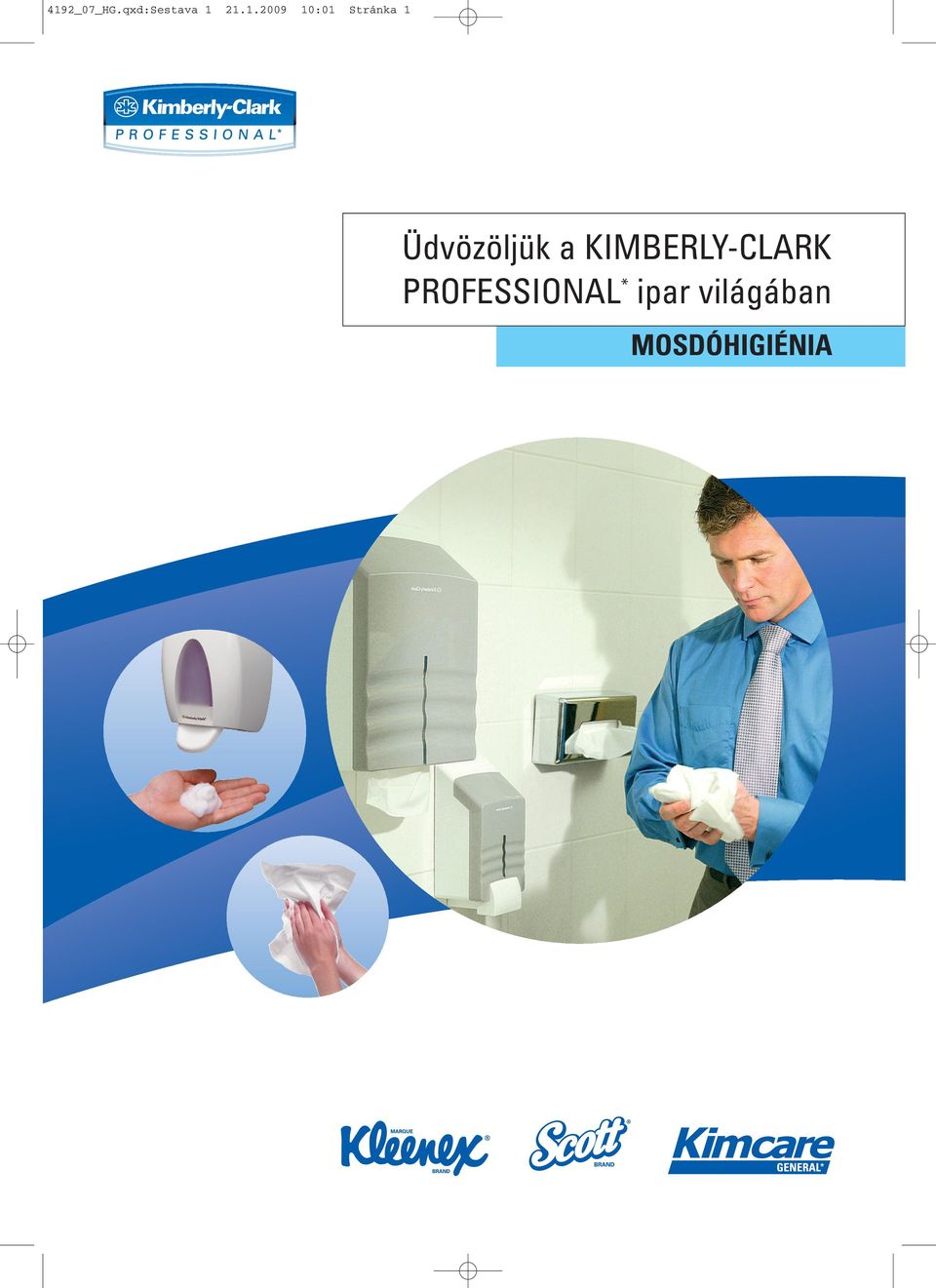 Üdvözöljük a KIMBERLY-CLARK PROFESSIONAL * ipar világában - PDF Ingyenes  letöltés