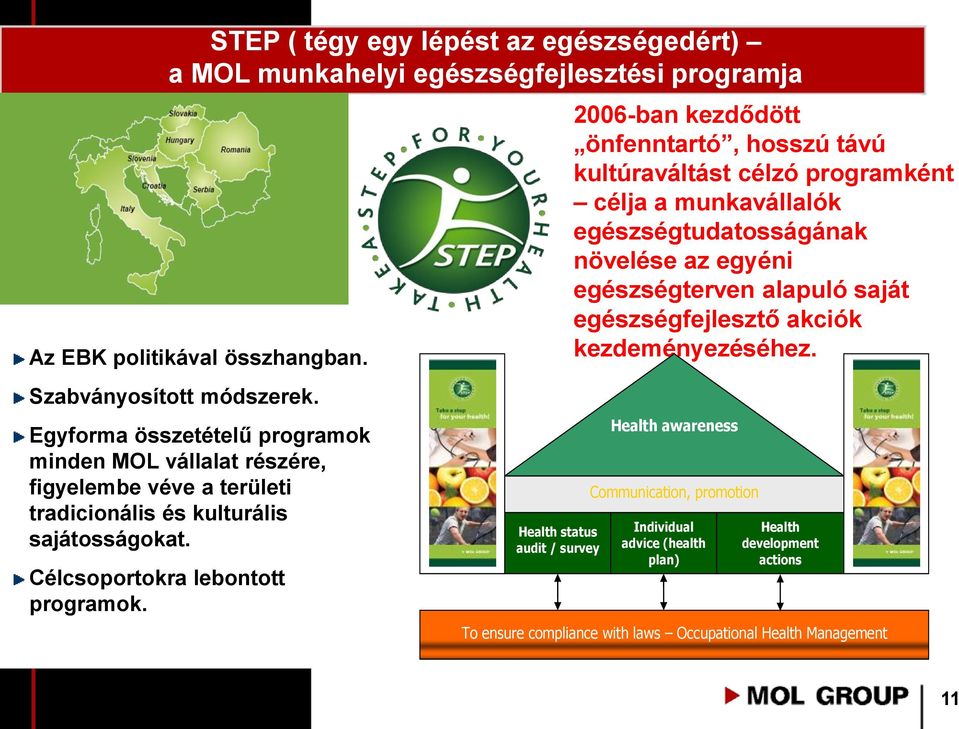 Health status audit / survey 2006-ban kezdődött önfenntartó, hosszú távú kultúraváltást célzó programként célja a munkavállalók egészségtudatosságának növelése az egyéni