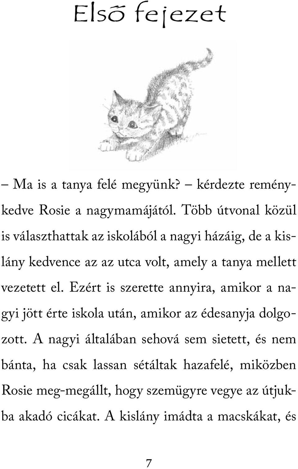 vezetett el. Ezért is szerette annyira, amikor a nagyi jött érte iskola után, amikor az édesanyja dolgozott.