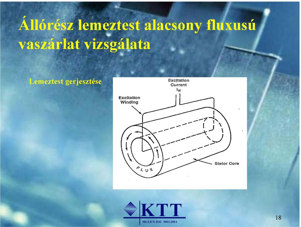 vaszárlat vizsgálata