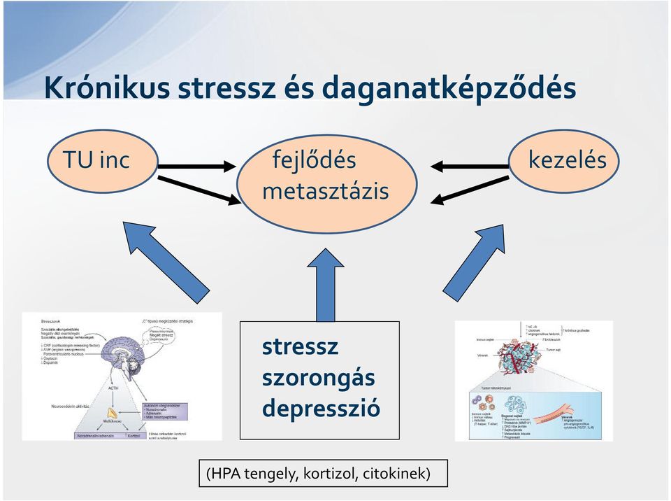 kezelés metasztázis stressz