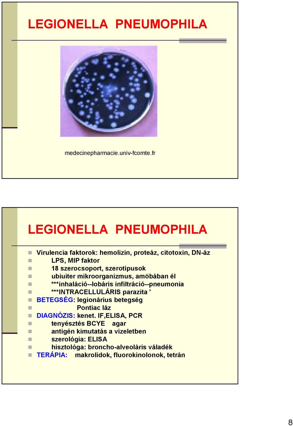 ubiuiter mikroorganizmus, amöbában él ***inhaláció--lobáris infiltráció--pneumonia ***INTRACELLULÁRIS parazita ' BETEGSÉG: