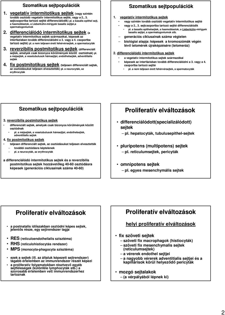 differenciálódó intermitotikus sejtek (a vegetatív intermitotikus sejtek származékai, képesek az interfázisban tovább differenciálódni a 3. vagy a 4. csoportba tartozó sejtté) pl.