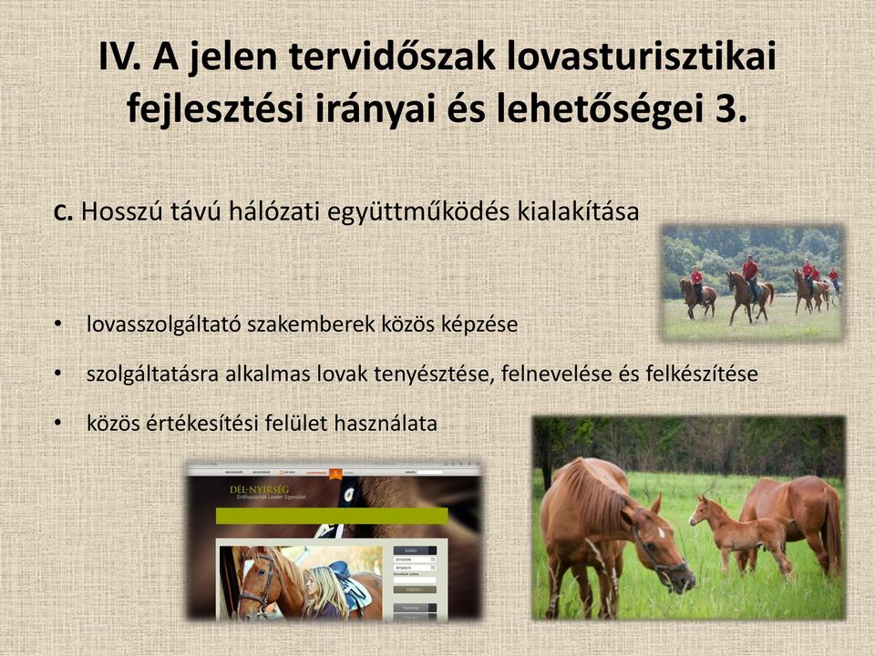 Hosszú távú hálózati együttműködés kialakítása lovasszolgáltató