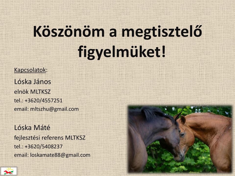 : +3620/4557251 email: mltszhu@gmail.