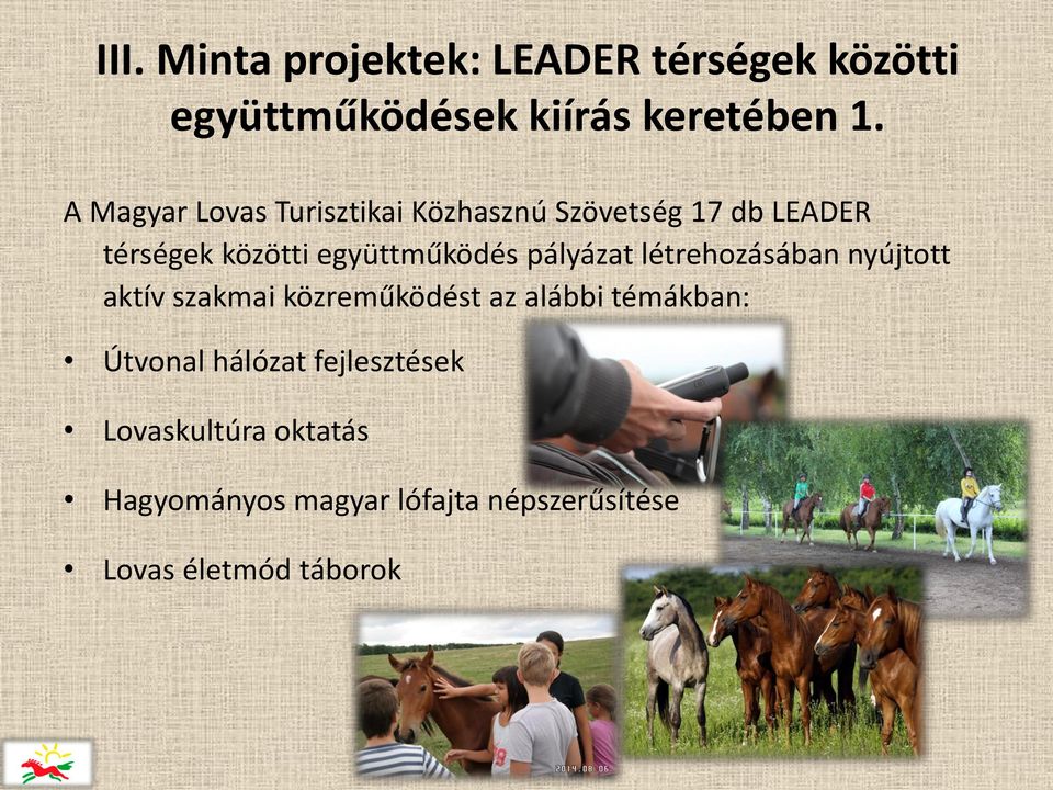 pályázat létrehozásában nyújtott aktív szakmai közreműködést az alábbi témákban: Útvonal