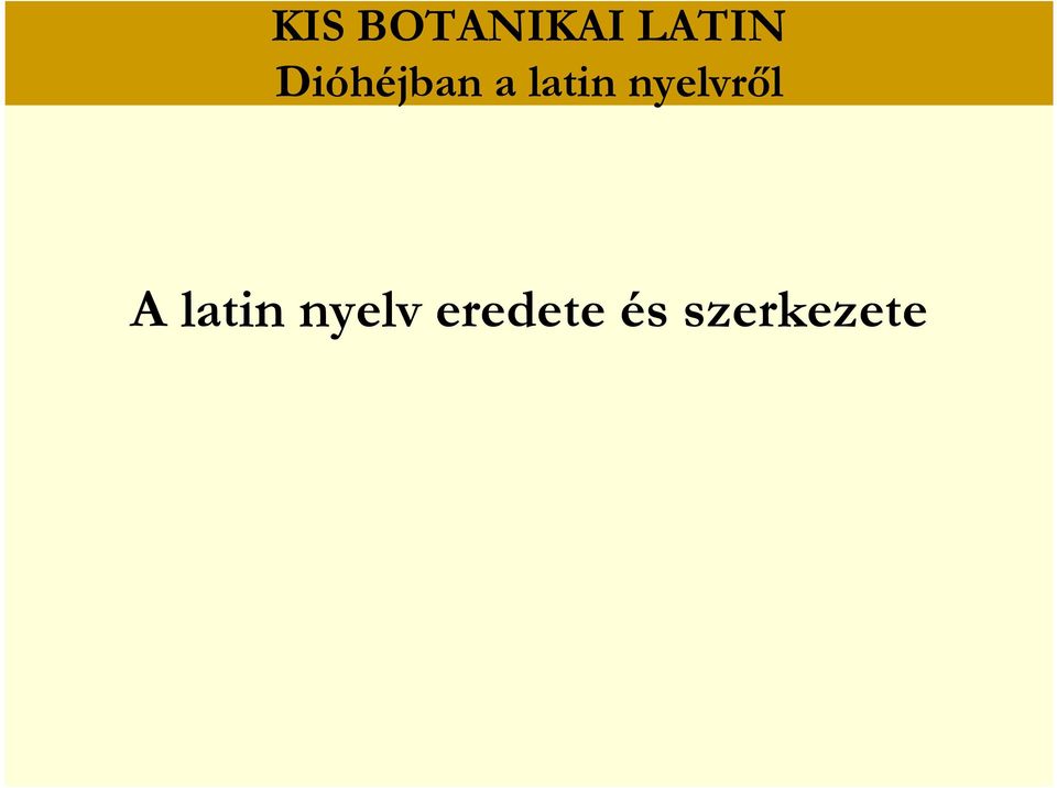 nyelvről A latin