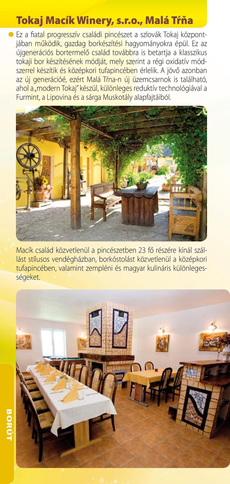 A jövő azonban az új generációé, ezért Malá Tŕna-n új üzemcsarnok is található, ahol a modern Tokaj készül, különleges reduktív technológiával a Furmint, a Lipovina és a sárga Muskotály