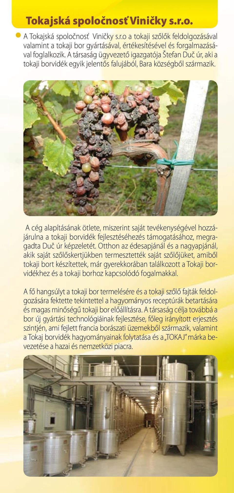 A cég alapításának ötlete, miszerint saját tevékenységével hozzájárulna a tokaji borvidék fejlesztéséhezés támogatásához, megragadta Duč úr képzeletét.