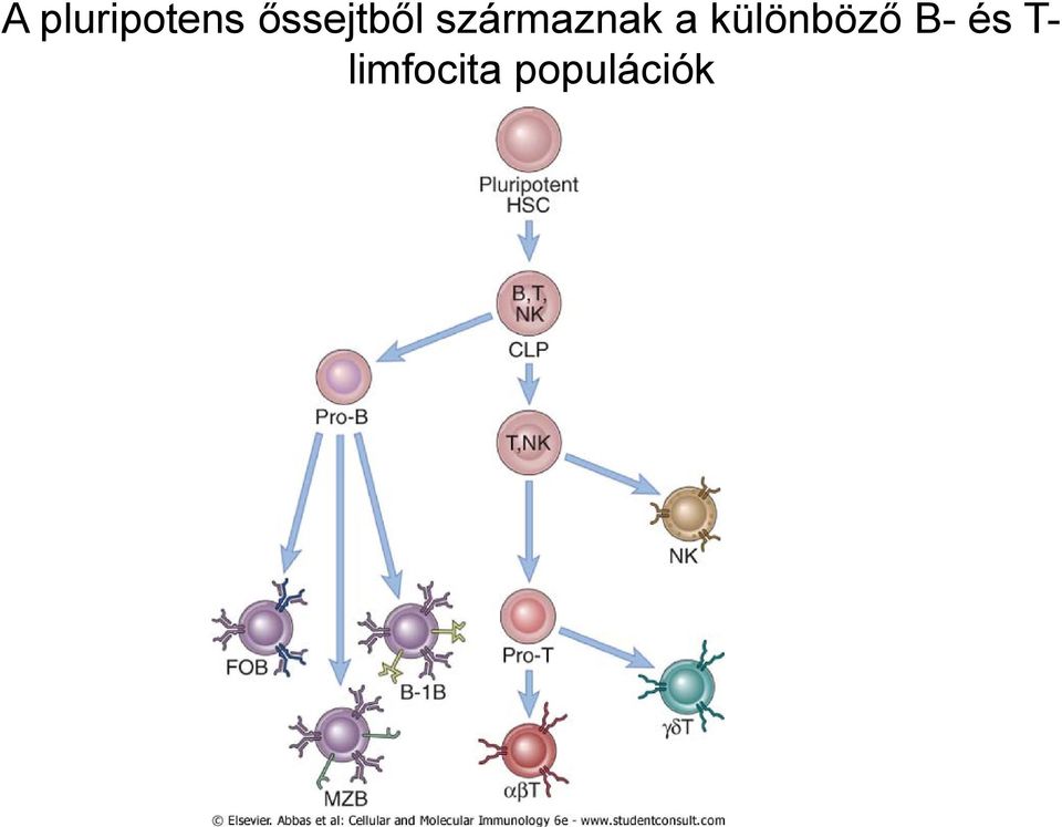 származnak a