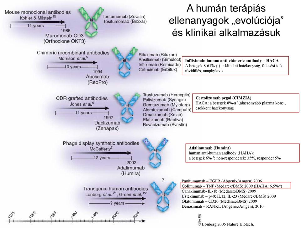 , csökkent hatékonyság) Adalimumab (Humira) human anti-human antibody (HAHA): a betegek 6% 3 ; non-responderek: 35%, responder 5% Panitumumab EGFR (Abgenix/Amgen) 2006