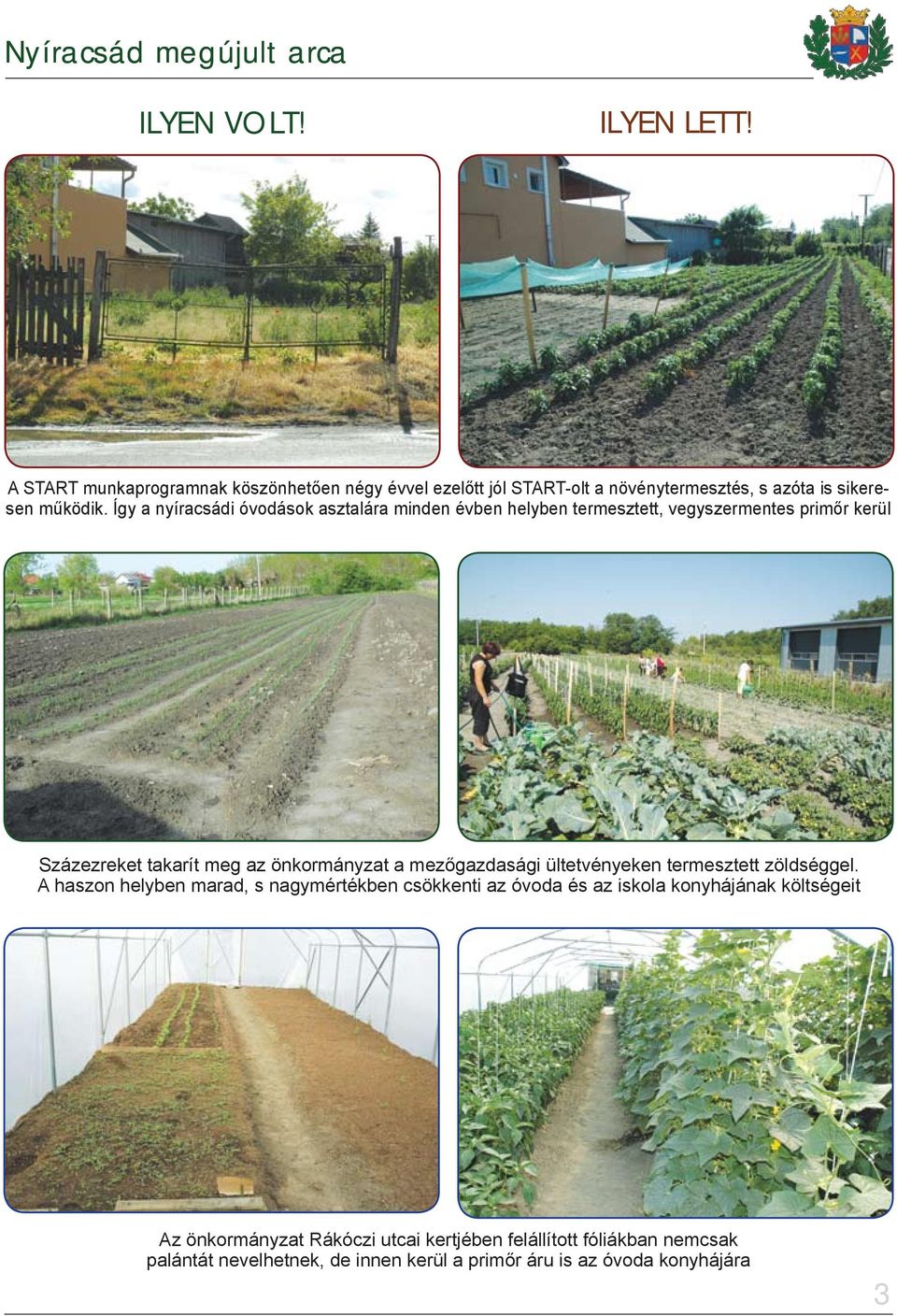 a mezőgazdasági ültetvényeken termesztett zöldséggel.