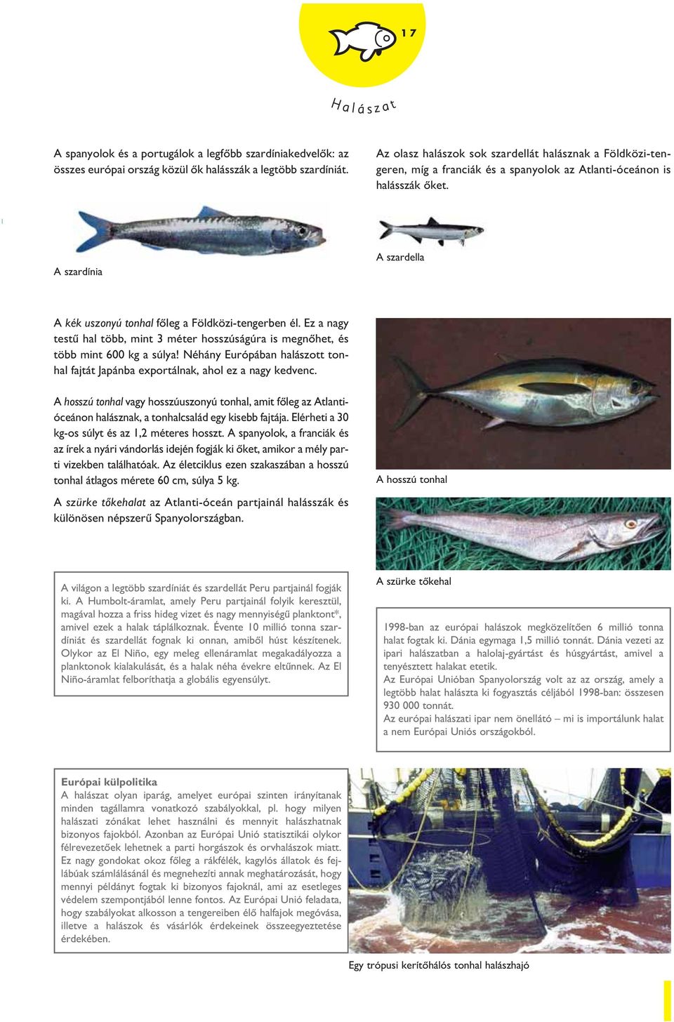 A szardínia A szardella A kék uszonyú tonhal fôleg a Földközi-tengerben él. Ez a nagy testû hal több, mint 3 méter hosszúságúra is megnôhet, és több mint 600 kg a súlya!