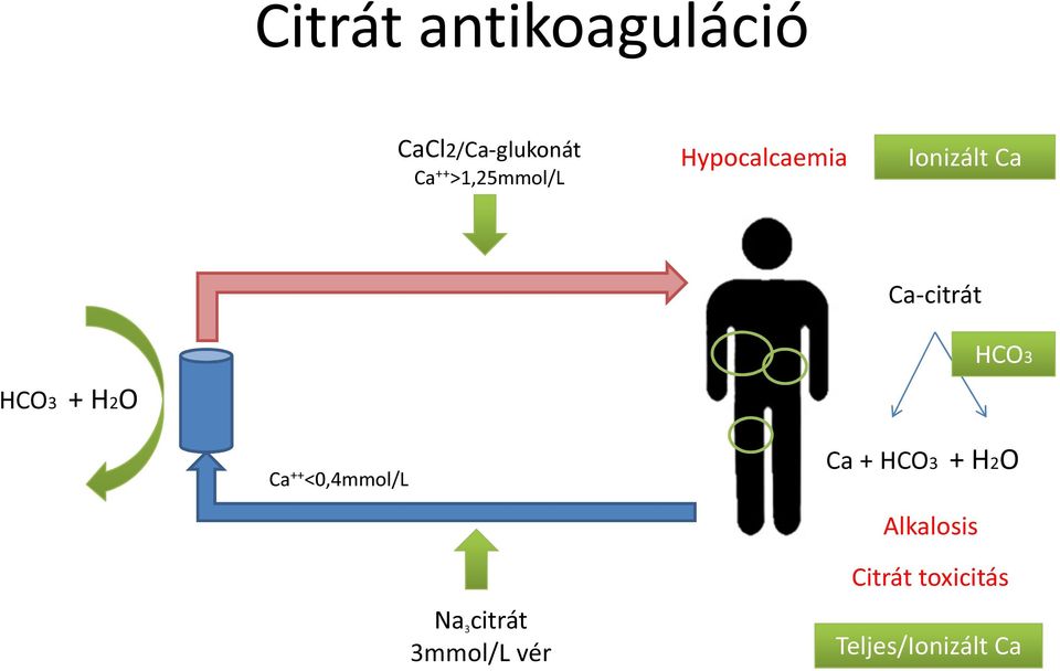 + H2O HCO3 Ca ++ <0,4mmol/L Ca + HCO3 + H2O