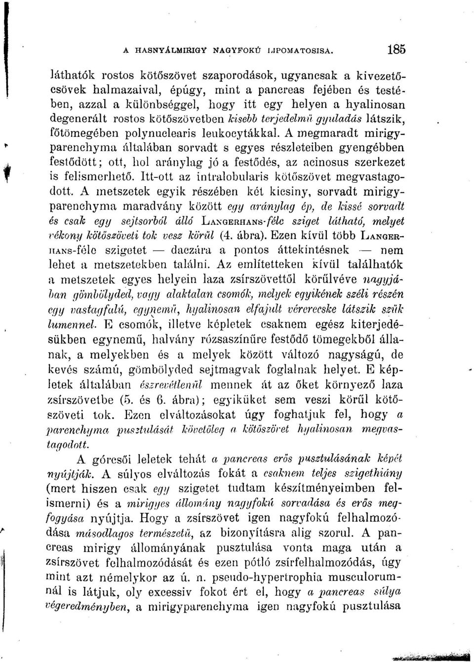 rostos kötőszövetben kisebb terjedelmű gyidadás látszik, főtömegében polynuclearis leukocytákkal.